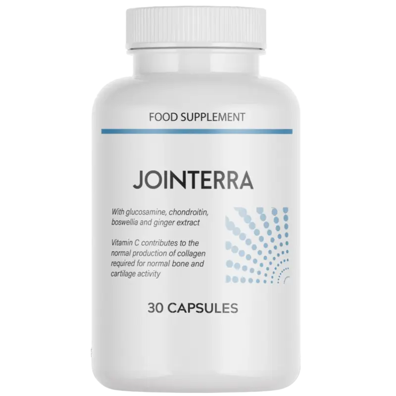 Jointerra